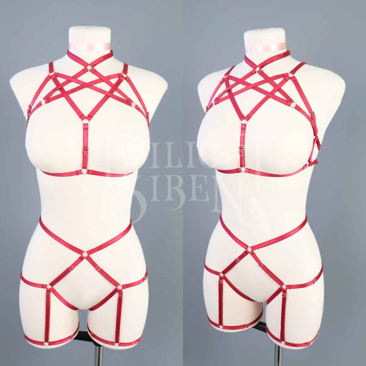 SCARLET RED HEXAGRAM SET: BRALET AND THIGH HARNESS